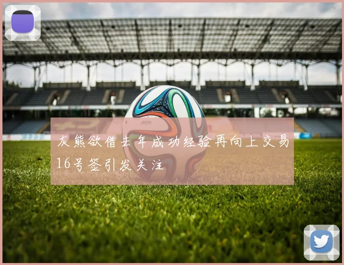 灰熊欲借去年成功经验再向上交易16号签引发关注